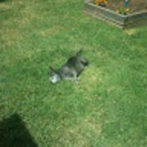 Meet your Posher, Mary